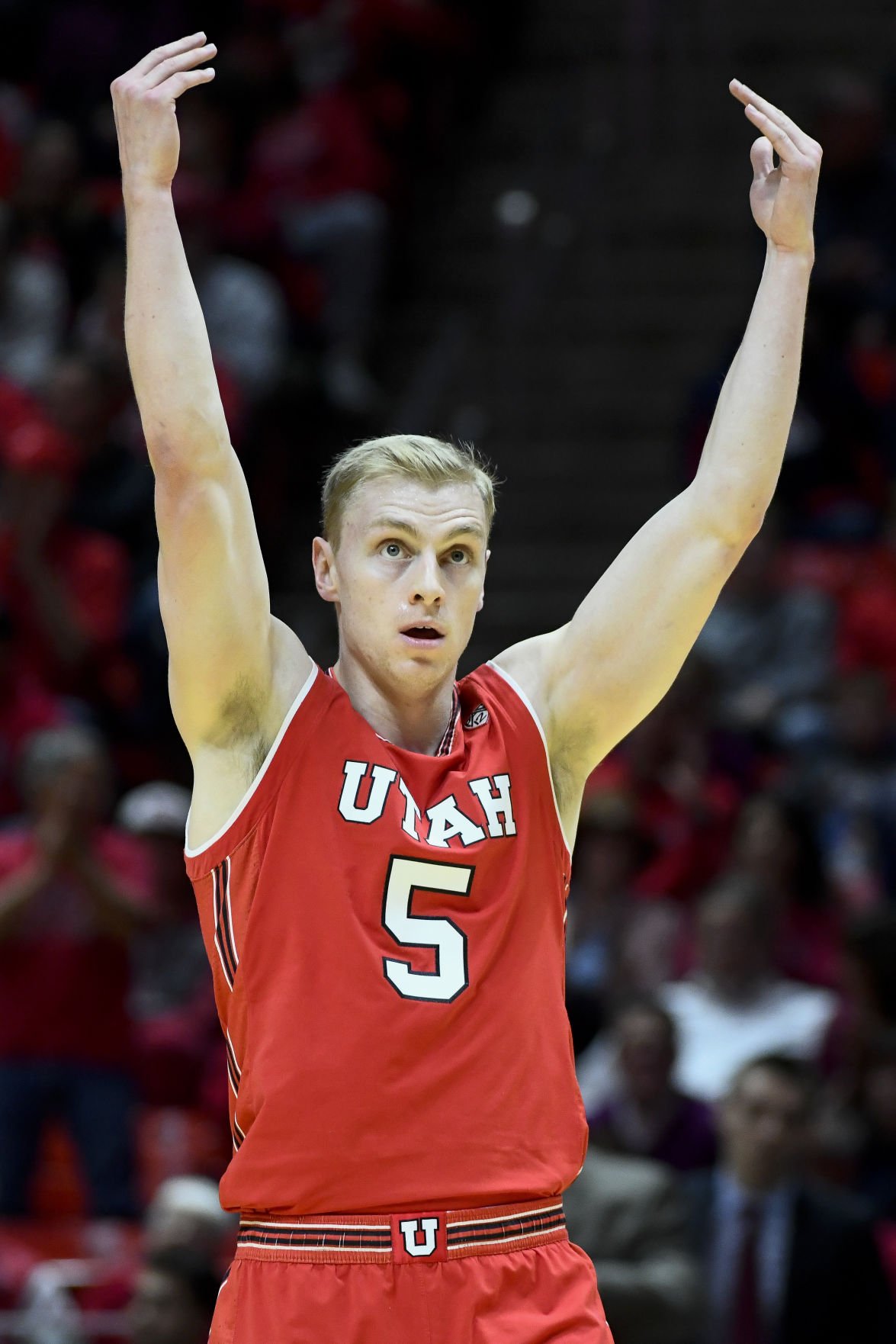 Arizona Utah Basketball (copy)